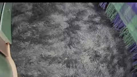 Snapshot of keylasmmith chatting on April 18, 4:22 pm Keyla online show from April 18, 4:22 pm