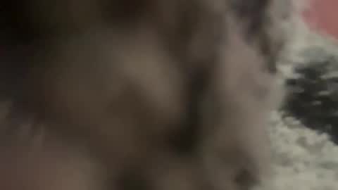 Snapshot of kg1726860 chatting on October 11, 6:50 pm kg1726860 online show from October 11, 6:50 pm