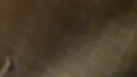 khaeruladiyan online show from February 11, 7:13 am