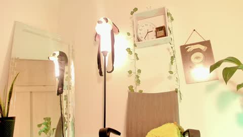 Kimm online show from January 14, 7:38 am