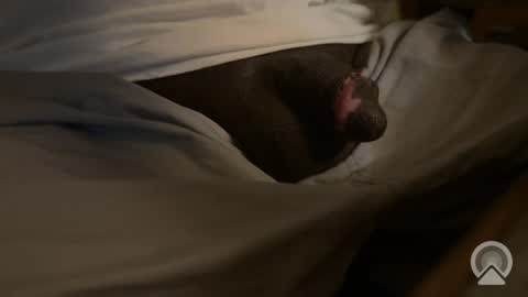 AsYouLikeCock online show from April 9, 6:35 pm