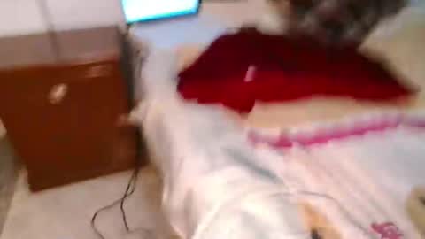 Snapshot of kingconejo chatting on March 10, 12:18 am Conejo online show from March 10, 12:18 am