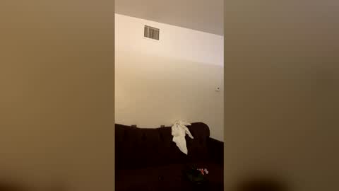 Snapshot of kingecstasyxxxddd chatting on March 16, 3:56 am kingecstasyxxxddd online show from March 16, 3:56 am