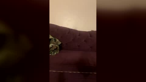 Snapshot of kingecstasyxxxddd chatting on March 18, 4:54 pm kingecstasyxxxddd online show from March 18, 4:54 pm