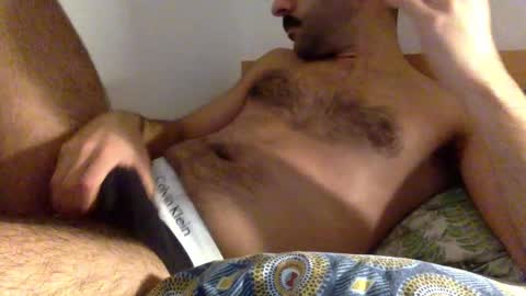 Snapshot of kingofpigs chatting on December 8, 9:19 pm KingofPigs online show from December 8, 9:19 pm
