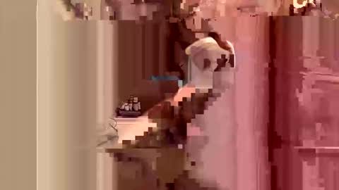 kingslimfresh online show from March 24, 1:10 am