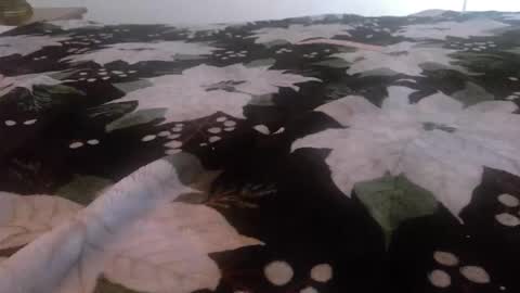 Kinky K80 online show from November 24, 2:50 pm