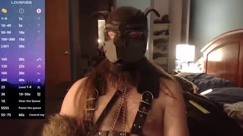 kinkywolf87 online show from December 20, 7:12 am