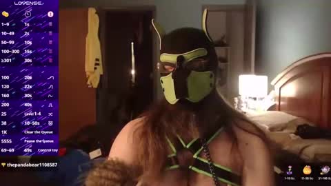 Snapshot of kinkywolf87 chatting on October 19, 5:30 am kinkywolf87 online show from October 19, 5:30 am