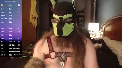 kinkywolf87 online show from April 2, 3:09 pm