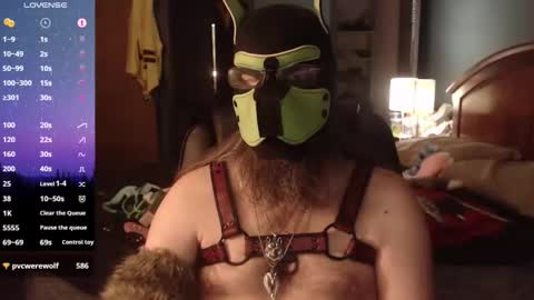kinkywolf87 online show from May 8, 12:27 am