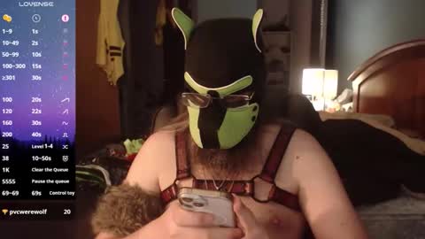 kinkywolf87 online show from June 9, 11:49 pm