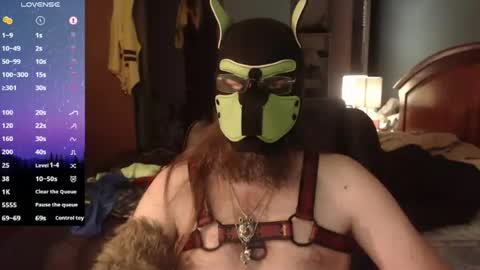 kinkywolf87 online show from June 11, 11:58 pm