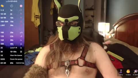 kinkywolf87 online show from June 12, 6:40 pm