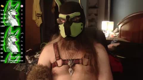 kinkywolf87 online show from June 25, 10:03 pm