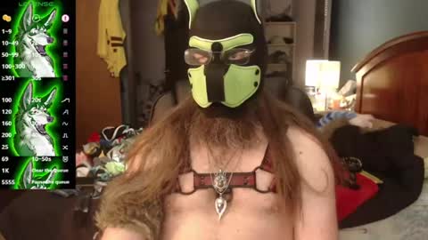kinkywolf87 online show from July 5, 9:44 pm