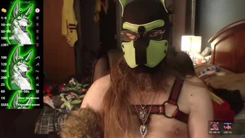 kinkywolf87 online show from July 10, 3:47 pm