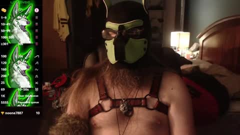 kinkywolf87 online show from July 24, 4:43 am