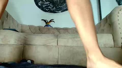 kira online show from November 4, 12:04 pm