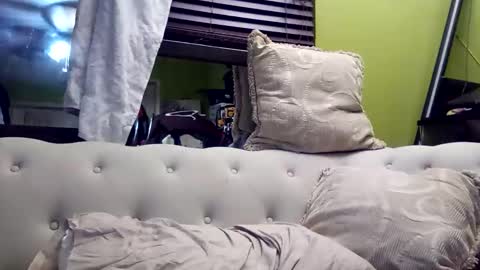 Kishan2525 online show from November 23, 11:26 pm