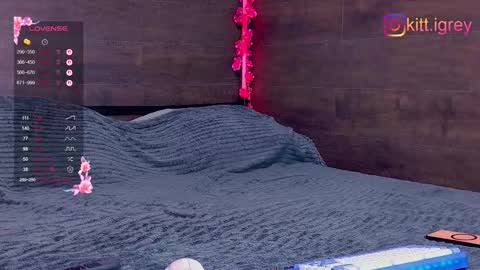 Snapshot of kitigrey chatting on October 30, 9:55 am kitigrey online show from October 30, 9:55 am