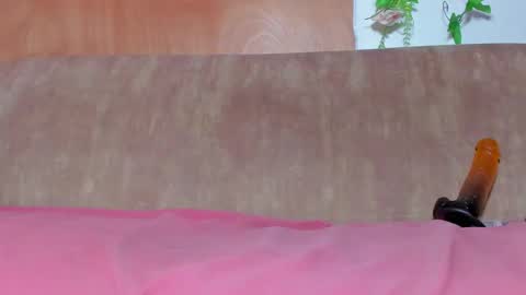 Kitsune-sama online show from September 20, 2:40 pm