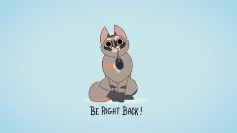 Kitty online show from December 1, 8:53 pm