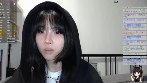 Kitty online show from November 7, 2:00 am