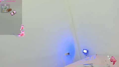 kitty online show from October 8, 9:23 pm