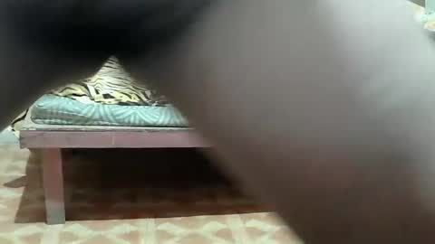 Snapshot of kitty_slut7 chatting on March 25, 10:49 pm Kitty online show from March 25, 10:49 pm