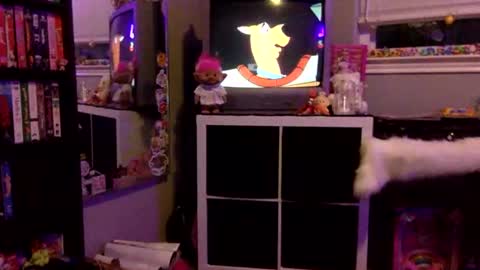 kittykatcoco online show from November 11, 4:23 am