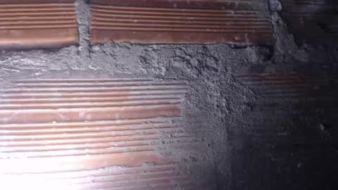 MARI -- ----   transmission forever today 10 pm time  colombia online show from December 4, 5:49 am