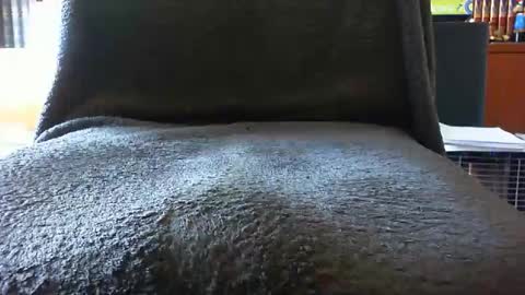 kledenn online show from October 25, 10:23 am