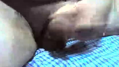 Snapshot of klok8230 chatting on December 16, 2:38 am klok8230 online show from December 16, 2:38 am