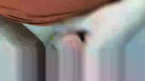 klok8230 online show from February 15, 8:27 pm