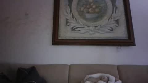 Snapshot of kobolt67 chatting on February 24, 3:43 pm kobolt67 online show from February 24, 3:43 pm