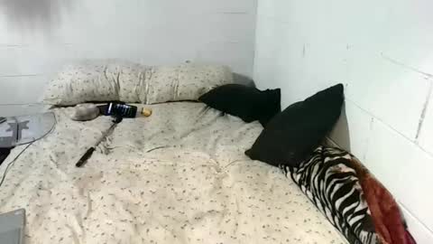 Katybaby online show from January 13, 10:04 pm