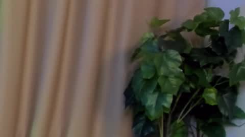 Kristi online show from December 7, 9:50 am