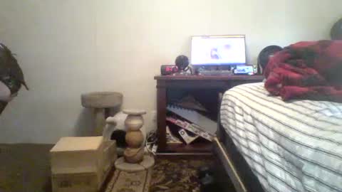 Snapshot of krystalizedkitsune chatting on July 20, 11:29 pm krystalizedkitsune online show from July 20, 11:29 pm