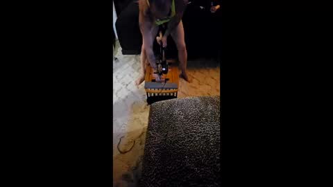 krystltymeup online show from March 11, 11:00 pm