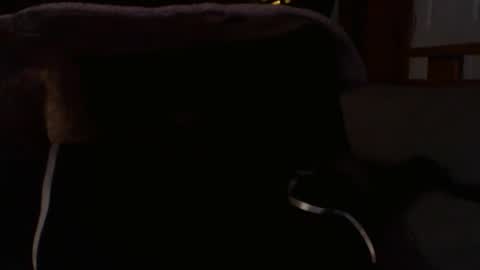 kshies4220 online show from January 9, 5:32 am