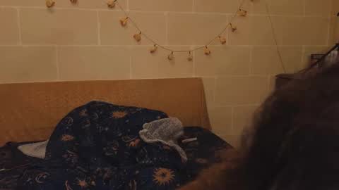 Krypto hethey online show from October 28, 10:56 pm