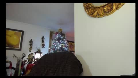 kyhara online show from December 23, 1:51 am