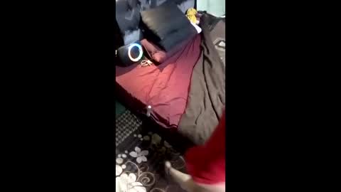 labestiareconoseme44420 online show from March 8, 7:45 am