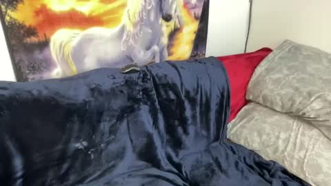 Lacy8Vankort online show from February 8, 8:53 pm