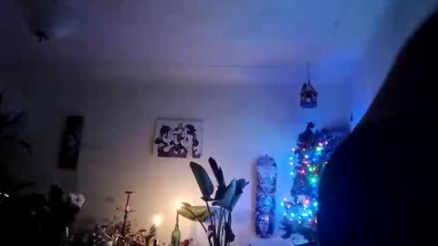 lacybell online show from December 19, 10:00 am