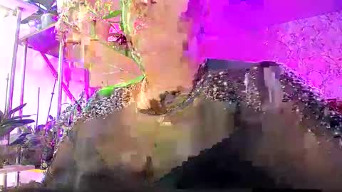 Lady Gloria online show from October 25, 7:38 am