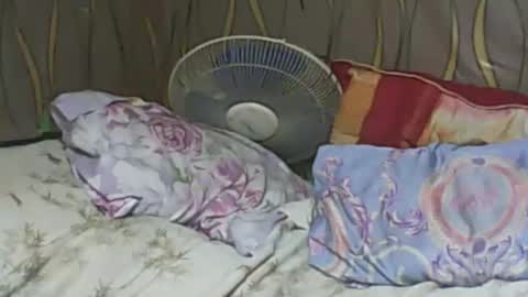 Snapshot of ladyxsnakes chatting on February 7, 6:24 pm LadyXSnakes online show from February 7, 6:24 pm