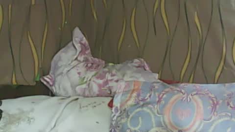 Snapshot of ladyxsnakes chatting on February 11, 6:08 am LadyXSnakes online show from February 11, 6:08 am