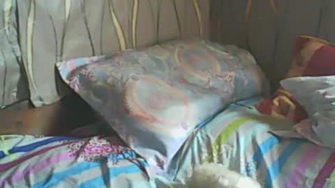 Snapshot of ladyxsnakes chatting on February 19, 7:39 am LadyXSnakes online show from February 19, 7:39 am